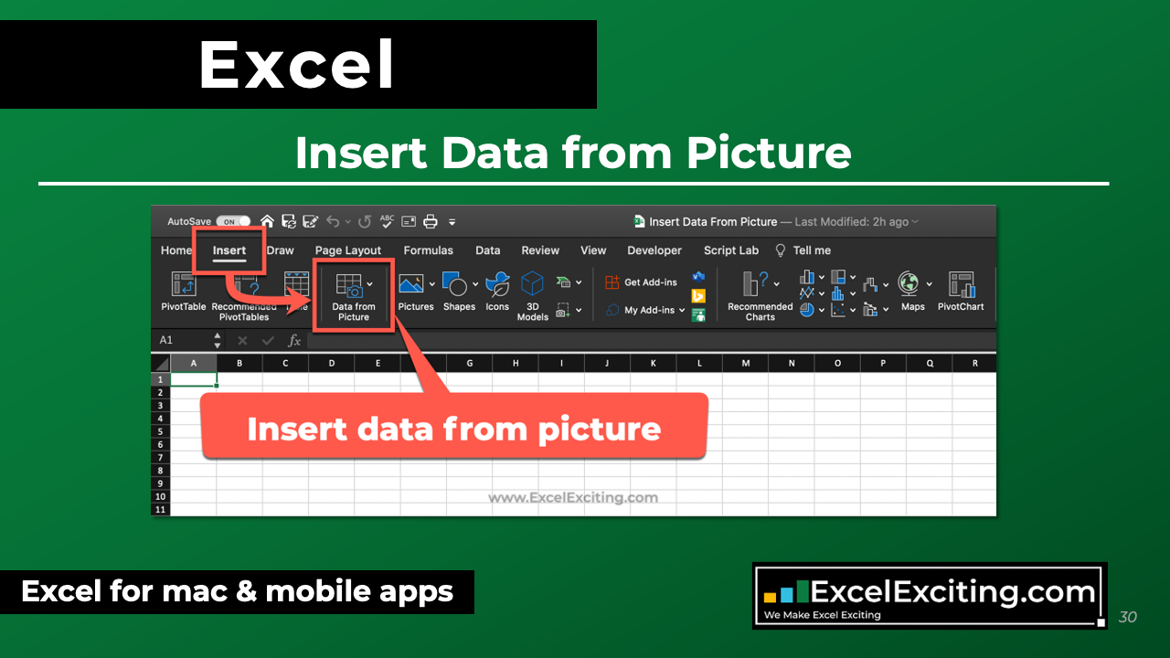 how-to-insert-data-from-picture-excel-exciting